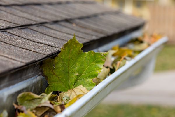Gutter System Cleaning in Westlake
