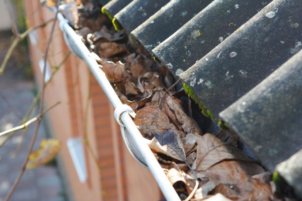 Home Gutter Cleaning in Westlake