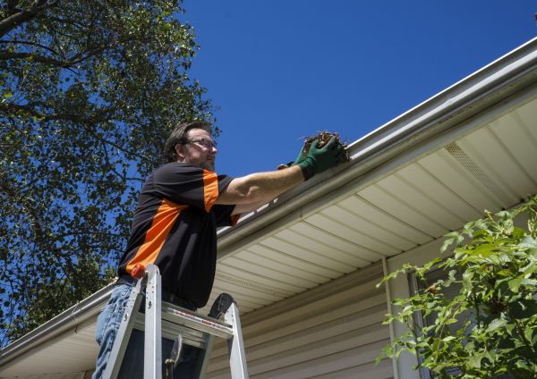 Eavestrough Clearing in Westlake